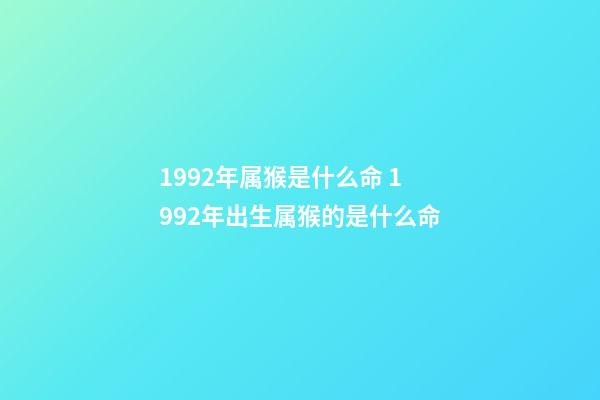 1992年属猴是什么命 1992年出生属猴的是什么命-第1张-观点-玄机派